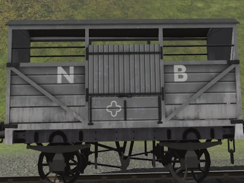 nb cat nb cat